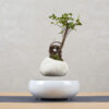 Magnetic Levitation Potted Plant Creative Gift Furniture Decoration - Image 2