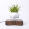 Magnetic Levitation Potted Plant Creative Gift Furniture Decoration - Image 3